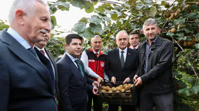 Ordu Kivisi Hasadı Başladı: İl Ekonomisine 520 Milyon TL Katkı