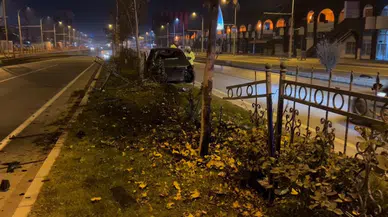 Köpeğe Çarpmamak İçin Manevra Paptı: Canından Oluyordu!