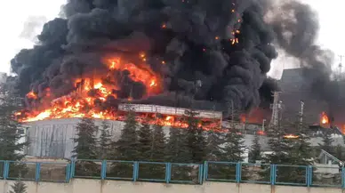 Kimya fabrikasında yangın! Patlama sesleri duyuluyor, dumanlar şehri kapladı