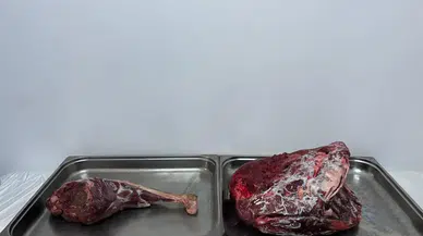 Yaban Keçisi Avına Rekor Ceza: 954 Bin Lira