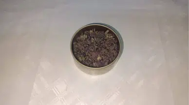 Endemik Bitkiyi Gürcistan'a Kaçırırken Yakalandı: 557 Bin TL Ceza!