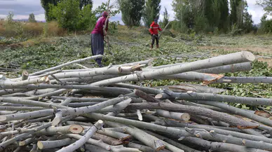 Kömür Fiyatları El Yakıyor: Çareyi Odun Toplamakta Buldular!