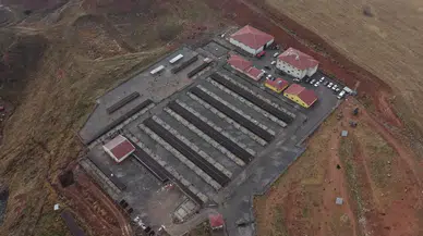 Sivas Barınağı Yenileniyor: Mama Üretim Tesisi Geliyor!
