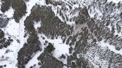 Yoğun Kar Yağışı Başladı: Köyler Adeta Beyaza Büründü!