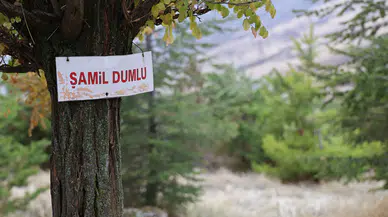 Gölgesiz Köyden Yeşile: İki Arkadaşın Hayali Köyü Nasıl Dönüştürdü?