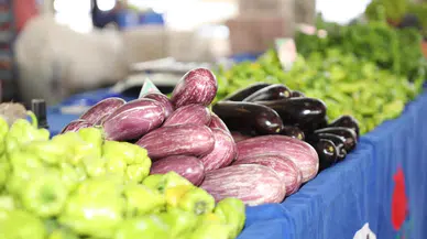 Ata Tohumlarından 171 Ton Ürün: Türkiye'ye Örnek Oluyor!