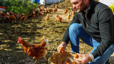 İflasın Eşiğinden İhracata: Yumurta Üretiminde Rekor Kırdı