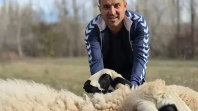 Kesecekti Kıyamadı: Koyunlara Antrenörlük Yapıyor!