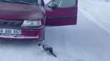 Ulaş'ta Yolda Bulduğu Yavru Kediyi Ölümden Döndürdü: Takdir Topladı