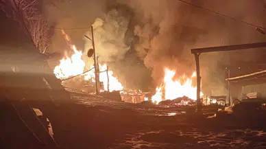 Korkunç Olay: Yangın Paniği Acıyla Bitti! Ağaca Asılı Bulundu