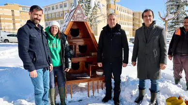 Eksi 19 Derecede Sıcacık Yuva: Sivas Belediyesi Kedi Evleri Artıyor