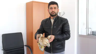 Sivas Zara'da Yaralı Kızıl Şahine Gençlik Merkezi Sahip Çıktı