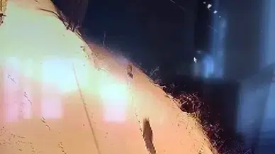 Gürün'de Kurt İstilası: Aç Kalan Sürü Yerleşim Yerine İndi!