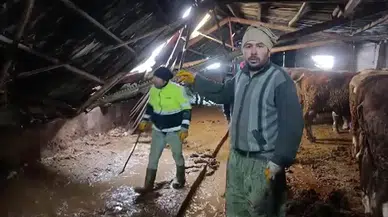 Kar Kütlesi Çatıyı Çökertti! Kar Nedeniyle Ahır Çöktü