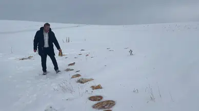 Sivas'ta Kurt Paniği: Köpeği Telef Olan Köylüler Harekete Geçti