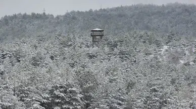Yozgat'ta Kar Sevinci: Çamlık Milli Parkı’nda Kartpostallık Görüntüler