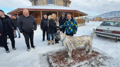 Sivas Akıncılar'da Kış Festivali Rüzgarı: Eğlence Zirve Yaptı