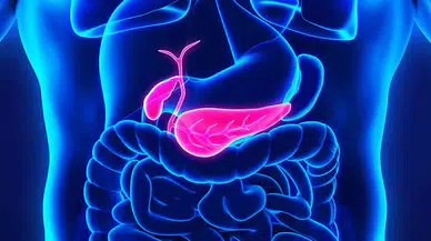 Sessiz Tehlikeye Dikkat: Safra Taşı Belirti Vermeden İlerliyor