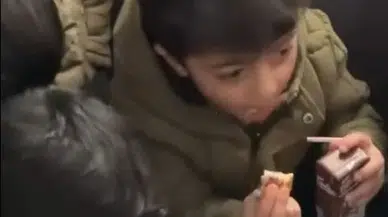 Erzincan-Sivas Yolu Kar Altında: Ulaşım Durma Noktasına Geldi!