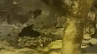 Poşetle Kayan Gençlerin Bahçeye Uçtuğu Korku Dolu Anlar