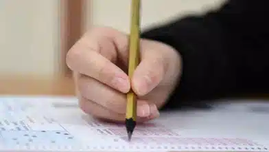 LGS yerleştirme sonuçları açıklandı