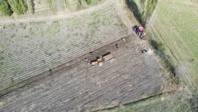 Organik Patates Hasadında Bereket Yüzleri Güldürdü