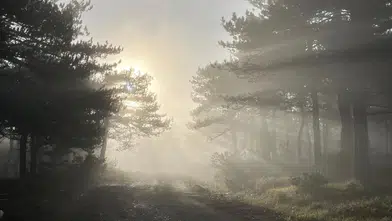 Sabahın Sisi Görsel Şölen Sunuyor