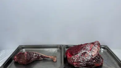 Yaban Keçisi Avına Rekor Ceza: 954 Bin Lira