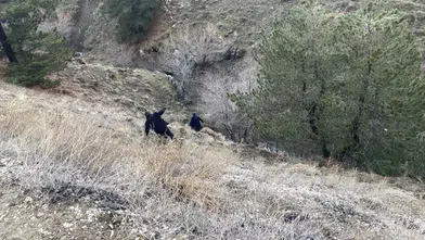 Çorum’da korkunç son: 76 yaşındaki ali osman kaya, parçalanmış bedeniyle dere kenarında bulundu