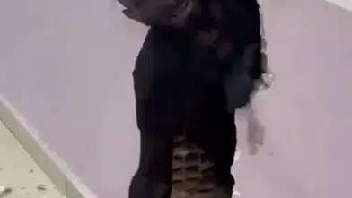 Saniyelerle ölüm arasında kaldı! Rize’de tesisat ustası baca boşluğunda kaydı, duvarları tutarak durabildi