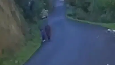 Kastamonu’da kayıp anne ve oğluna ait yeni görüntü ortaya çıktı