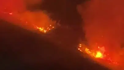 Dava yolu kapattı! İtfaiye yangına geç kaldı