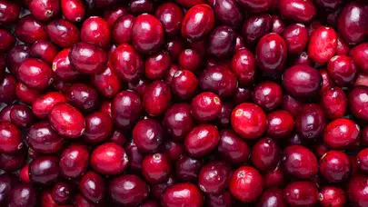 Kızılcık ile Gribe Doğal Kalkan: Diyetisyen Açıkladı!