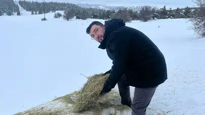 Ağır Kış Şartlarında Yabani Hayvanlar İçin Seferberlik