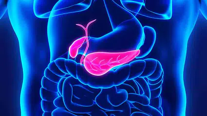 Sessiz Tehlikeye Dikkat: Safra Taşı Belirti Vermeden İlerliyor