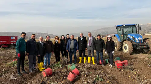 Organomineral Gübre İle Yetiştirilen Patatesler Hasat Ediliyor