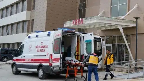 Erzincan Üzümlü'de Korku Dolu Anlar: Ayı Saldırısı!