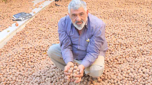 Fransa'daki İşinden Daha Çok Kazanıyor: 10 Ton Hasat!