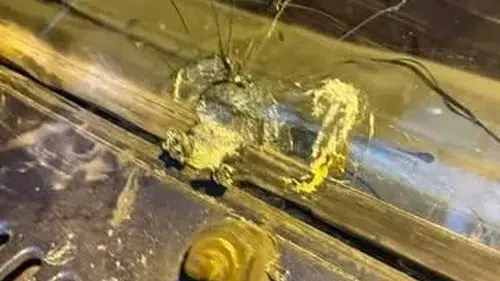 Sanayi sitesinde kurşun dehşeti! Şans eseri kurtuldular