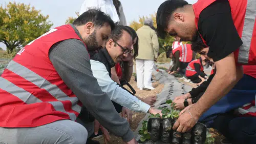 Malatya'da Kızılay Desteğiyle Modern Çilek Bahçeleri Kuruluyor