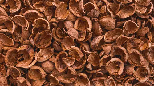 Ceviz Kabuğu Atığıyla Asfalt Ömrünü %50 Artıran Çözüm