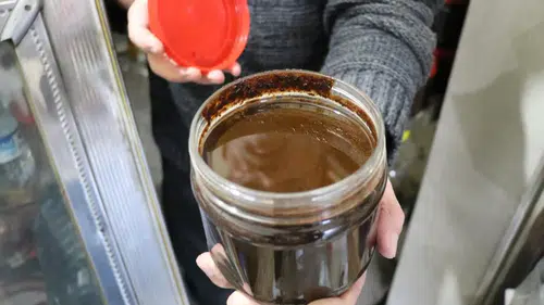 9 Bin Yıllık Lezzet Zeyrek Yeniden Sofraların Gözdesi