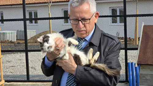 Makam Odası Kedi Yuvası Olan Başkan: Sokak Hayvanları Emanettir
