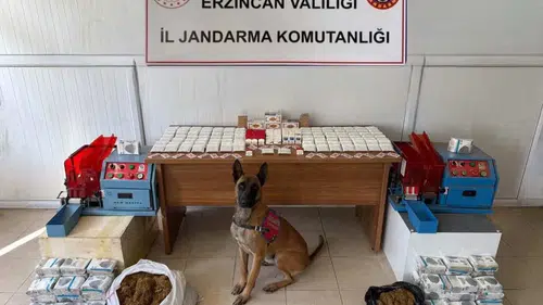 Trafik Cezası Rekoru: 1,48 Milyon TL Para Cezası Kesildi