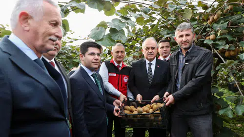 Ordu Kivisi Hasadı Başladı: İl Ekonomisine 520 Milyon TL Katkı