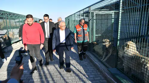 Kayseri Büyükşehir, Sahipsiz Hayvanlara Şefkat Eli Uzattı