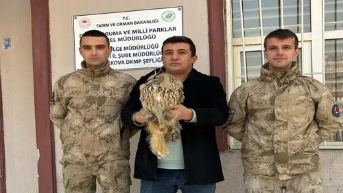 Nesli tükenmekte olan baykuş jandarmanın şefkatiyle kurtarıldı!