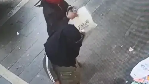 İki kadın 5 evi böyle soydu! 700 bin TL’lik soygun kameralara yansıdı