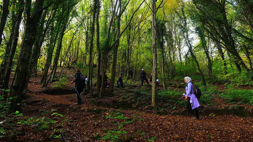 Taraklı'dan Longoza: Sakarya Doğa Yürüyüşleri Rekor Kırdı!