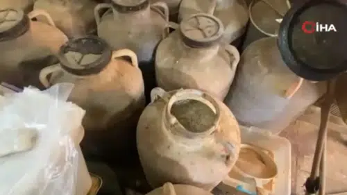 Bakkalda büyük gıda skandalı! Küflenmiş ve tarihi geçmiş ürünler